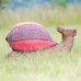 Wildcrete Snail large